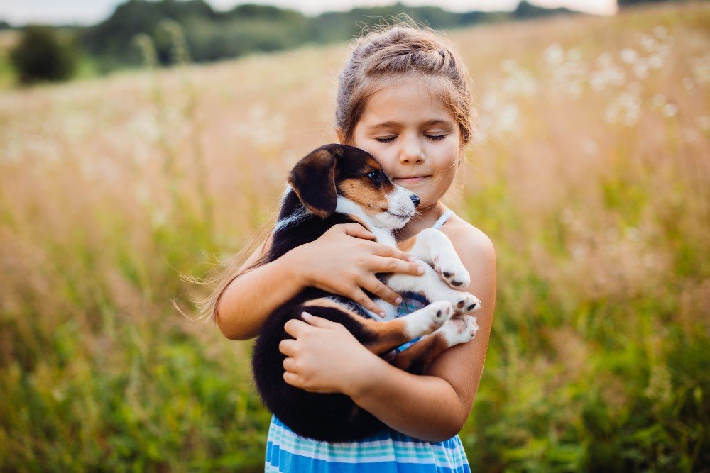 Imagem demonstrando um animal descansando em sua caminha durante uma mudança residencial com animais ittle-girl-holds-a-puppy-on-her-arms